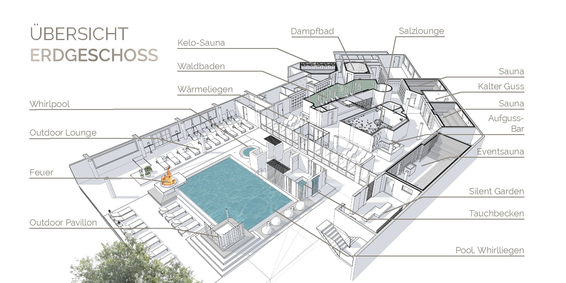 3D-&Uuml;bersichtsplan des Erdgeschoss der neuen Sauna- und Wellness-Welt im Ph&ouml;nix-Bad Ottobrunn (Architektur-Zeichnung, &copy; wellverde concept GmbH) Unsere Saunawelt bekommt ein neues Gesicht &ndash; ab Anfang M&auml;rz 2026.